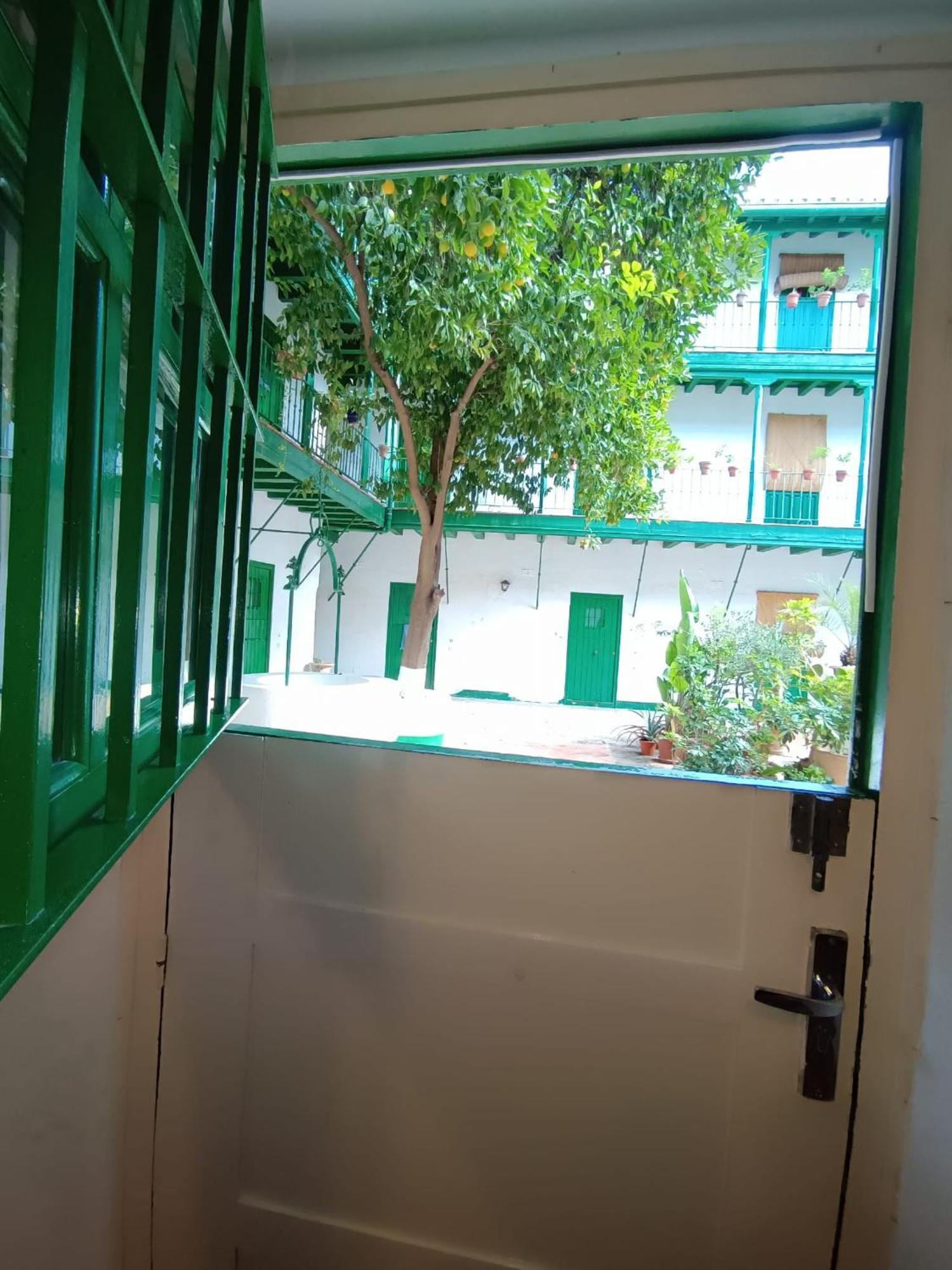 La Puerta Verde De Las Setas De Sevilla Εξωτερικό φωτογραφία